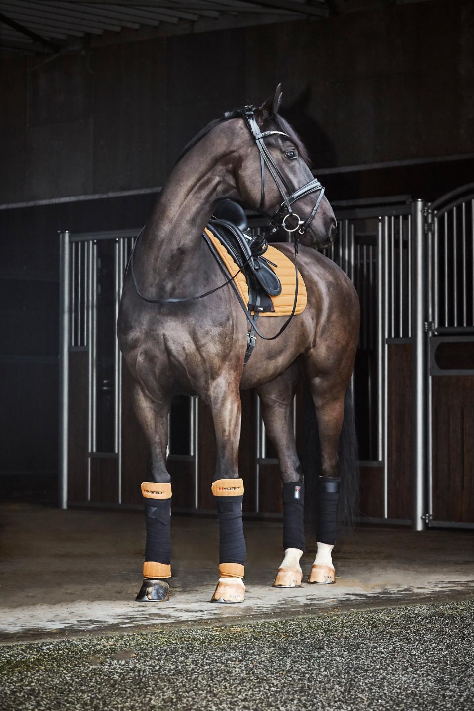 785ea8e2-a2be-4dea-ba89-632ed72e9f71